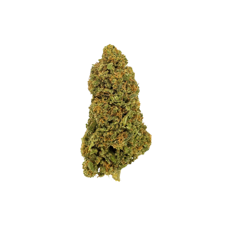 Gâteau aux fruits CBD Ecopack
