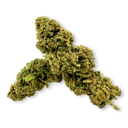 Banana Runtz Ecopack