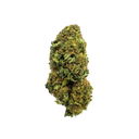 Bahama Mama Ökopack