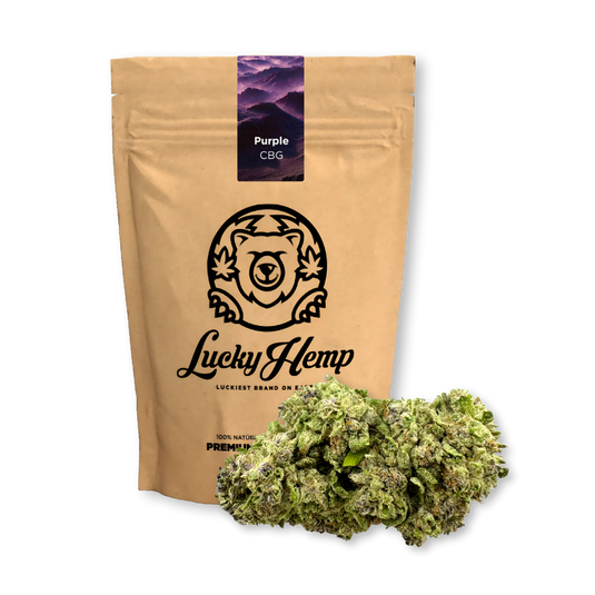 Pack écologique CBG violet