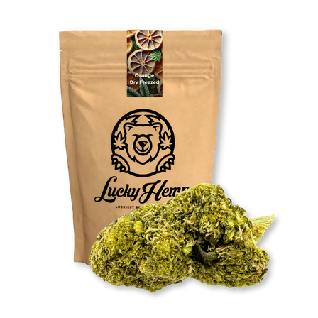 Orange séchée surgelée Eco Pack