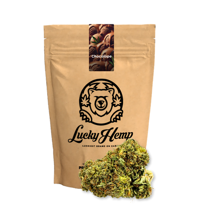 Chocolope Ecopack Flowers Lucky Hemp