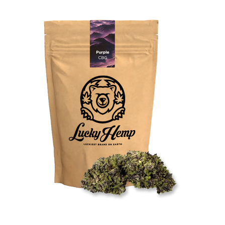 Pack écologique CBG violet