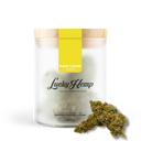 Super Lemon Haze flowers Lucky Hemp   