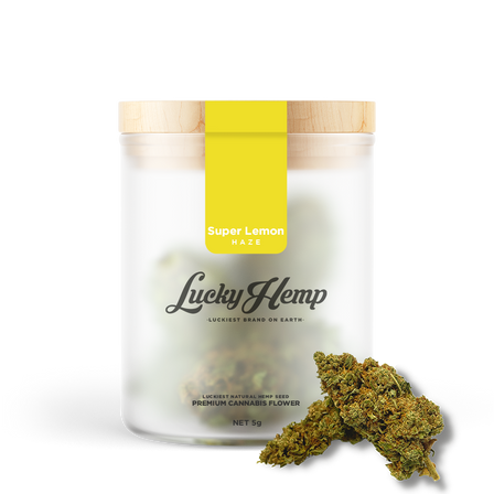 Super Lemon Haze flowers Lucky Hemp   