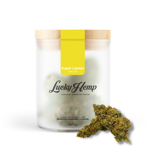 Super Lemon Haze flowers Lucky Hemp   